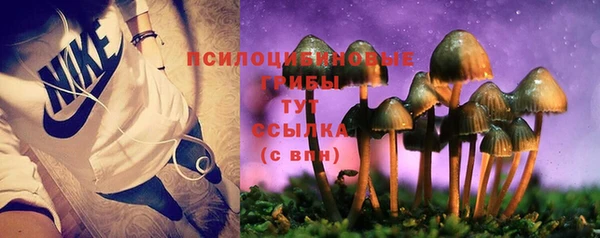 скорость Алзамай